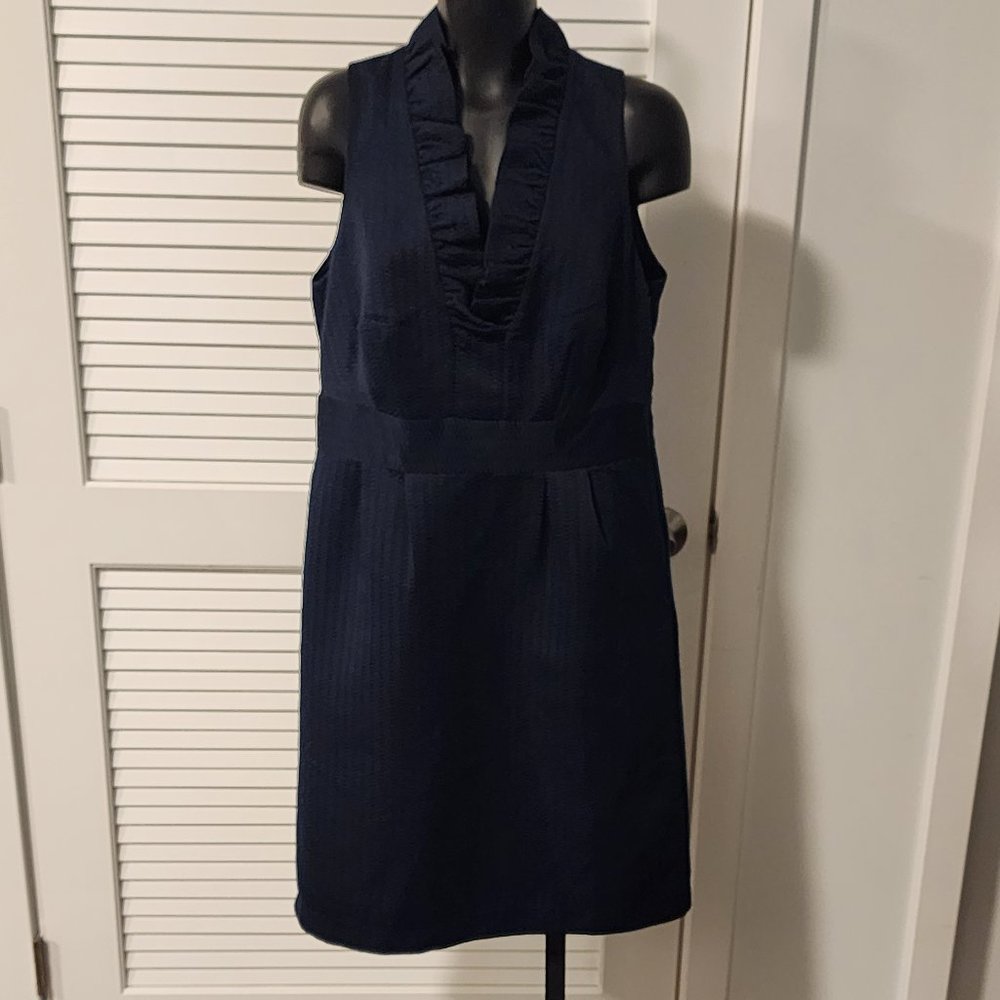 Ann Taylor ruffle dress